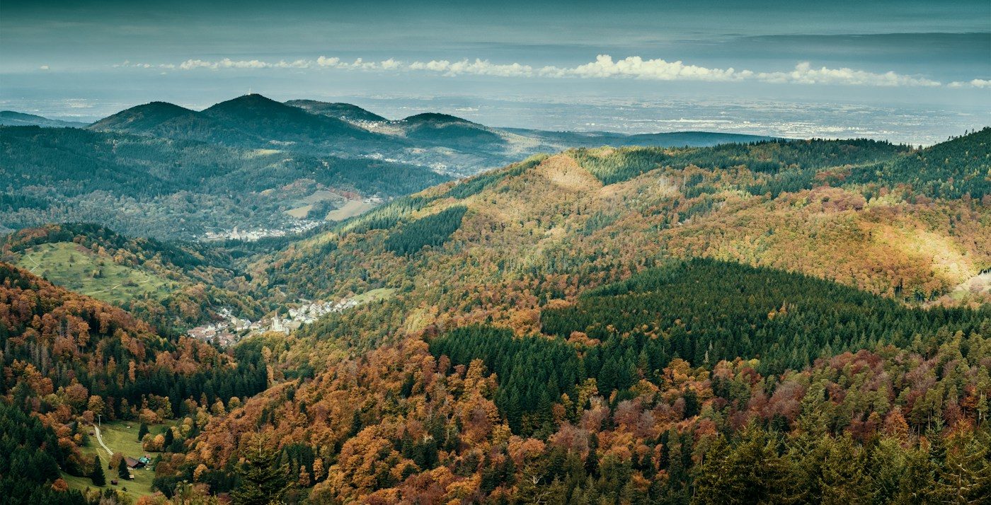 Herbstlicher Schwarzwald